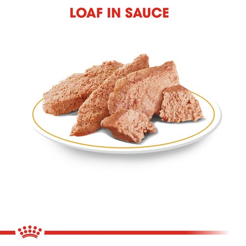 Royal Canin Yorkshire Wet Food Loaf