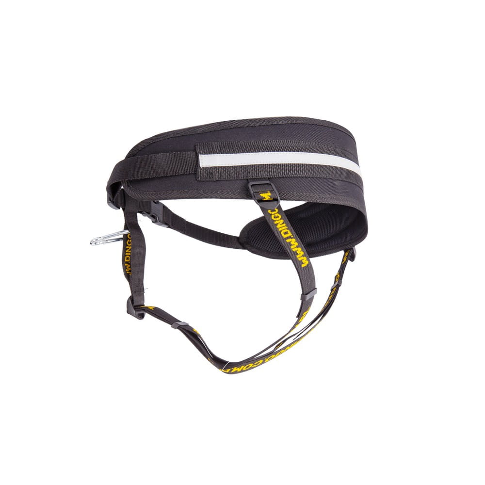 Dingo Cani Cross Running Belt