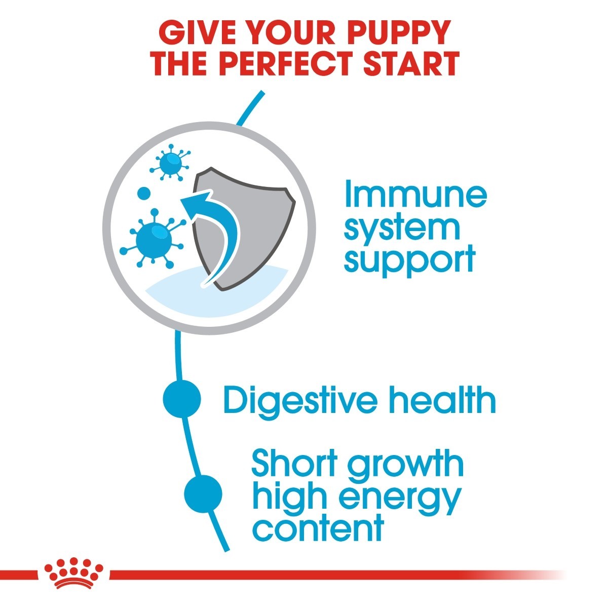 Royal Canin Medium Puppy Dog Food - Targa Pet Shop