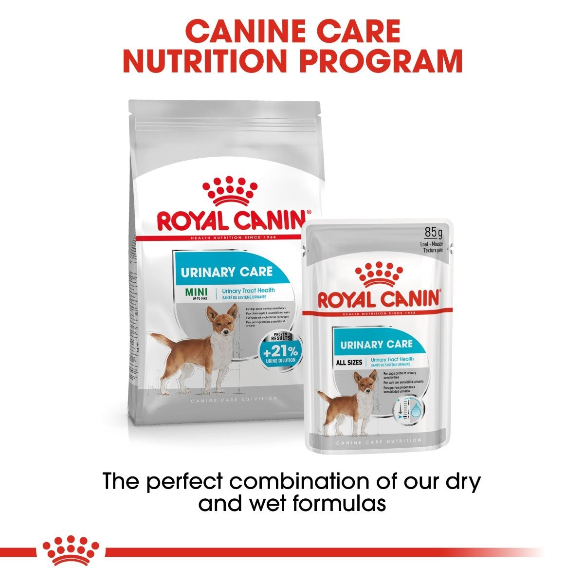 Royal Canin Mini Urinary Care Dry Dog Food - Targa Pet Shop