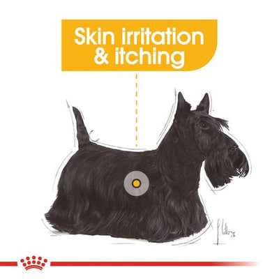 Royal Canin Dermacomfort Care Wet