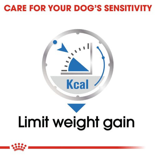 Royal Canin Light Weight Care Pouches