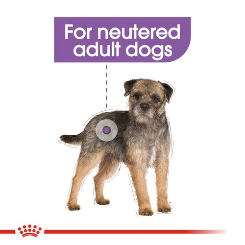 Royal Canin Sterilised Wet Food