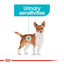Royal Canin Urinary Care Wet