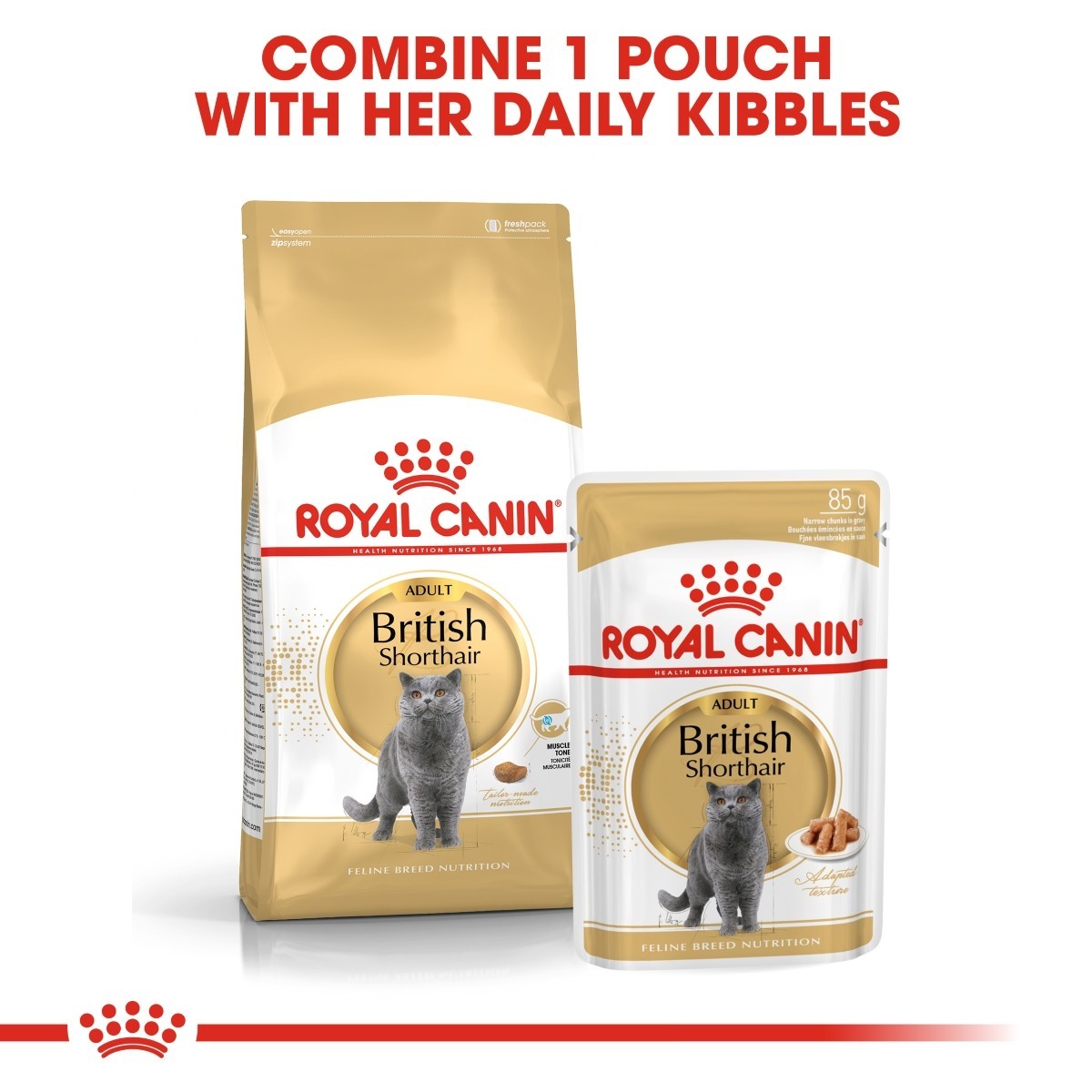 Royal Canin British Shorthair Pouches Adult Cat Food - Targa Pet Shop