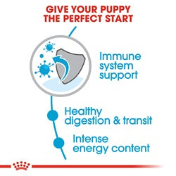 Royal Canin X-Small Puppy - Targa Pet Shop