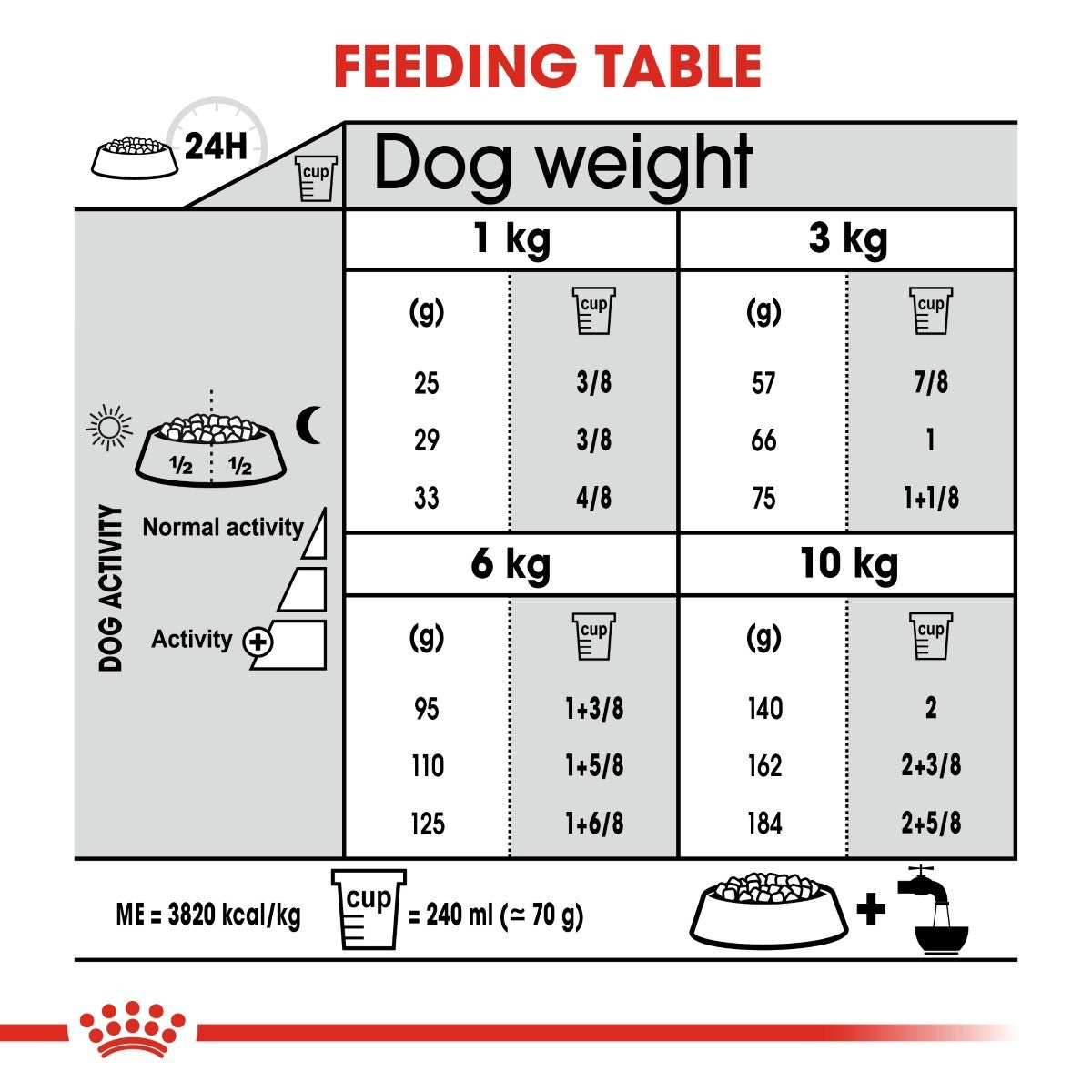 Royal Canin Mini Dental Care Dry Dog Food - Targa Pet Shop