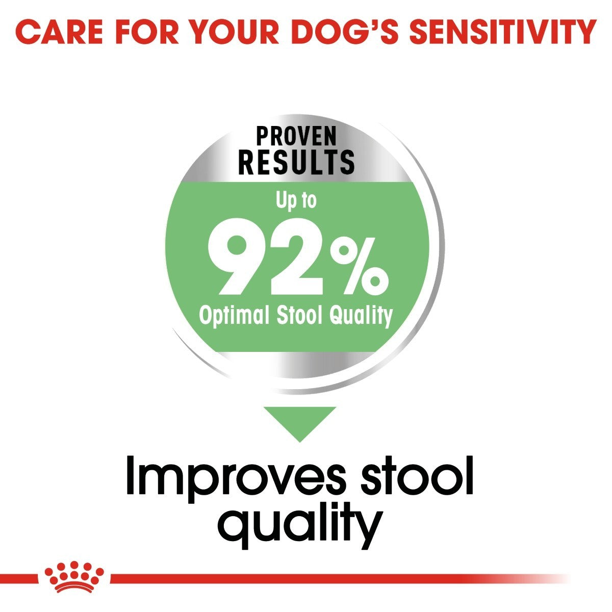 Royal Canin Mini Digestive Care Dry Dog Food - Targa Pet Shop