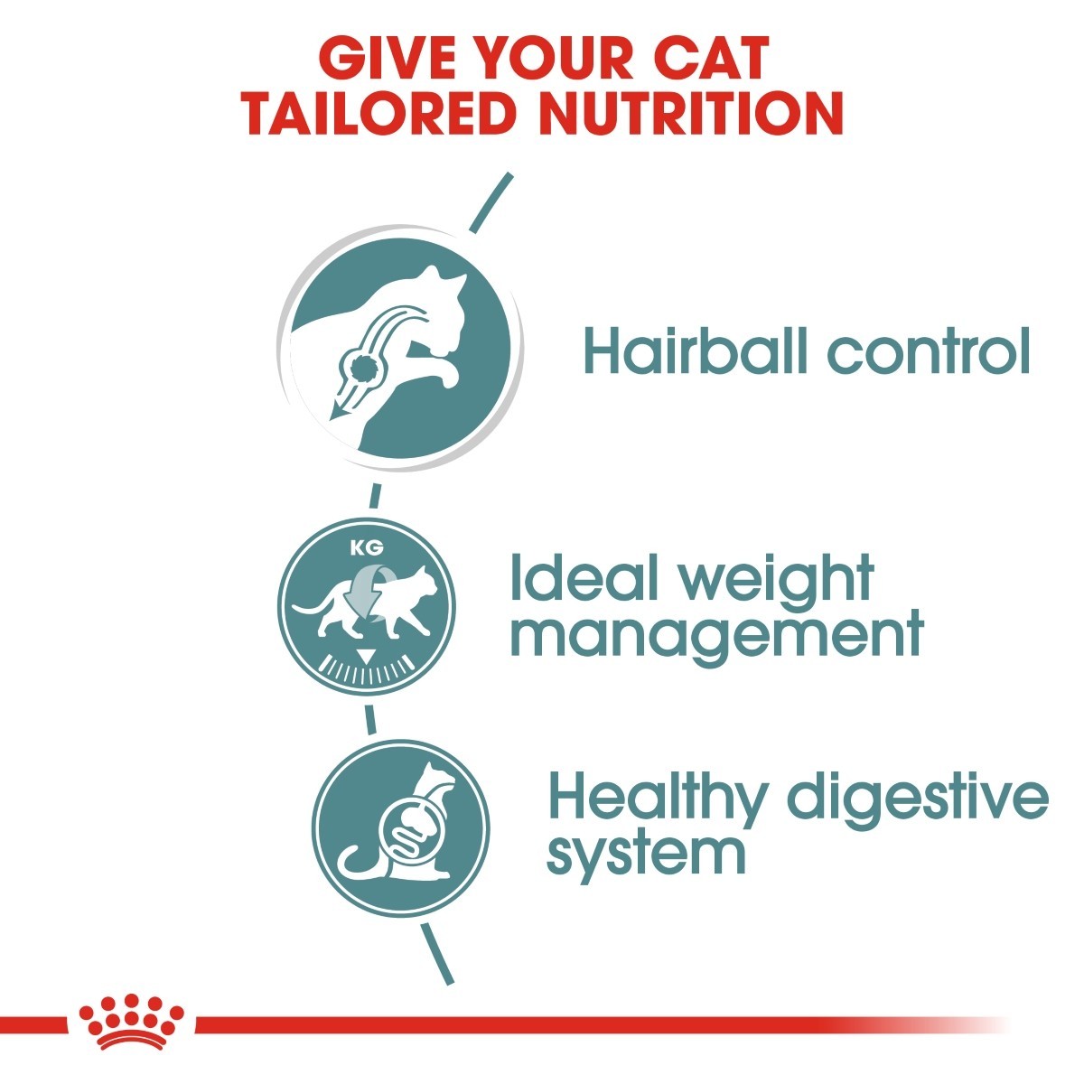 Royal Canin Hairball Care Pouches in Gravy Adult Cat Food - Targa Pet Shop