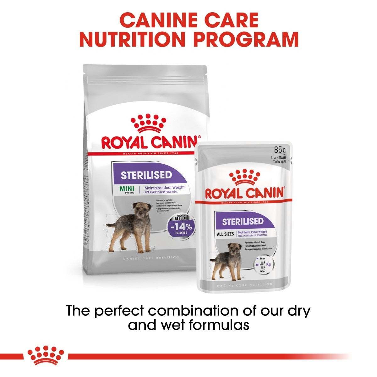 Royal Canin Mini Sterilised Care Dry Dog Food - Targa Pet Shop