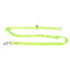 Dingo Bungee Leash
