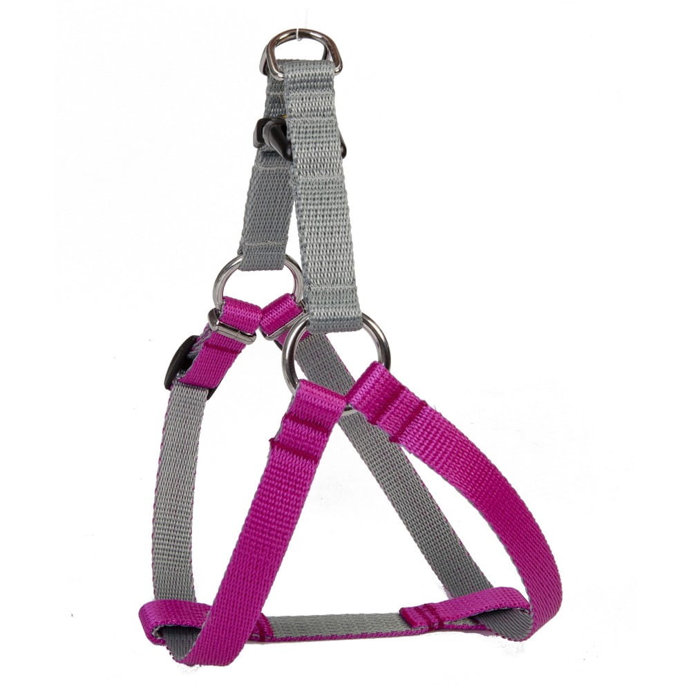 Dingo Silver Energy Harness - Targa Pet Shop