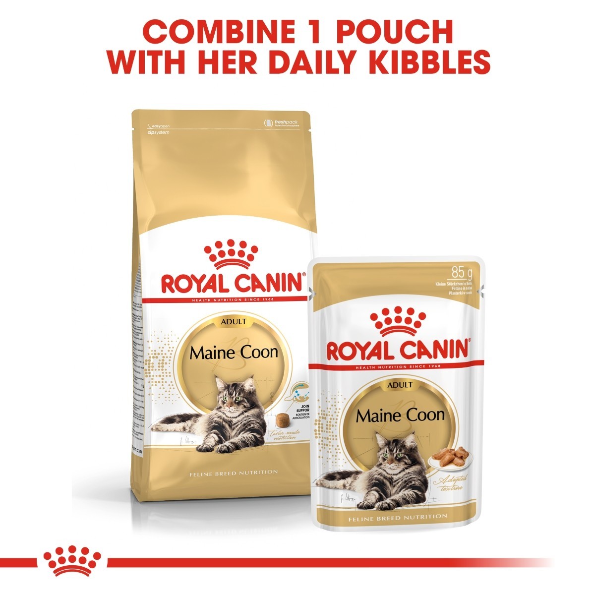 Royal Canin Maine Coon Pouches Adult Cat Food - Targa Pet Shop