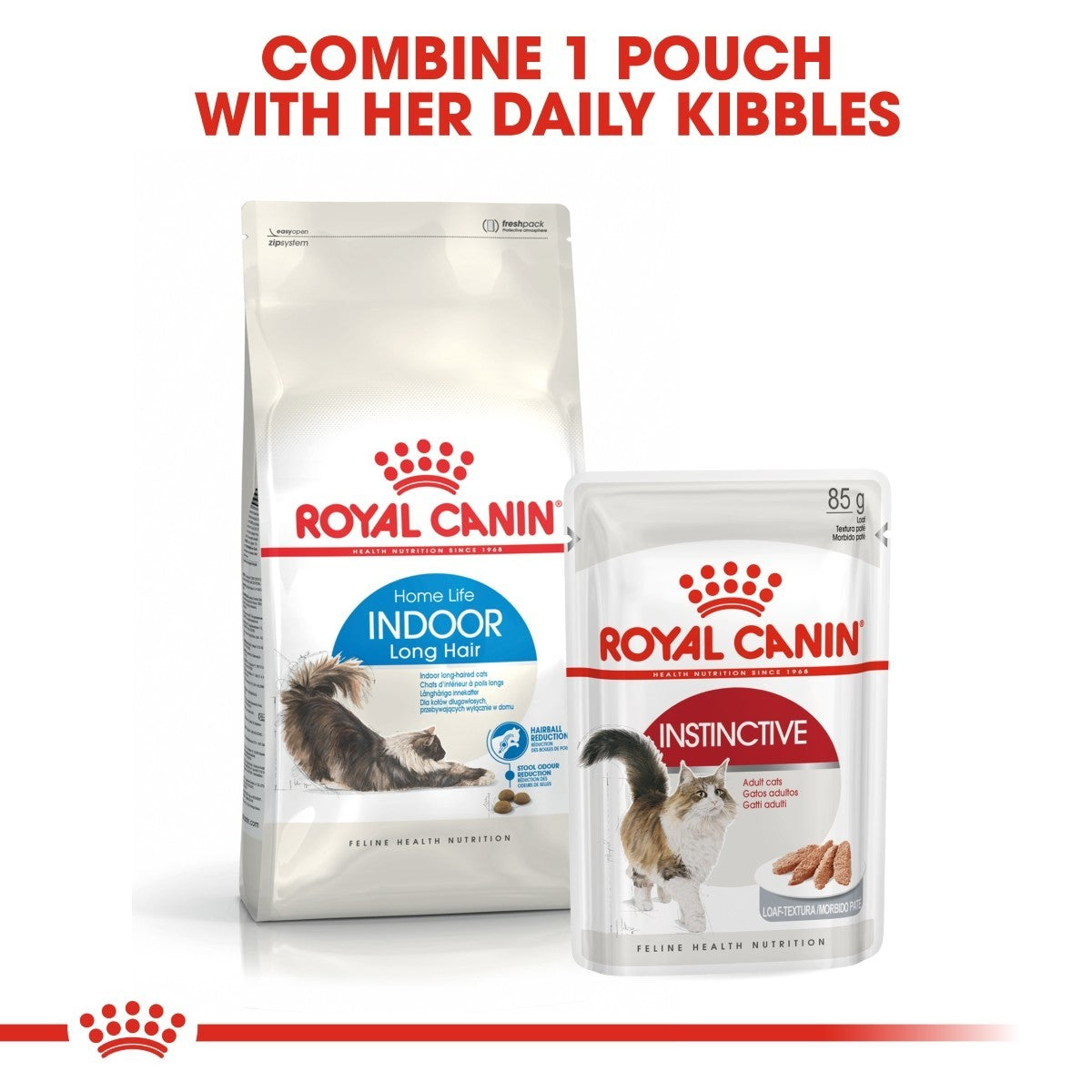 Royal Canin Home Life Indoor Long Hair Adult Cat Food - Targa Pet Shop