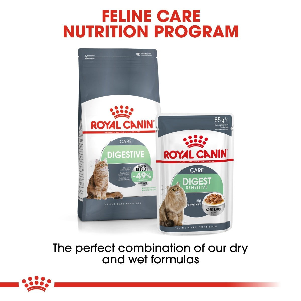 Royal Canin Digestive Care Adult Cat Food - Targa Pet Shop