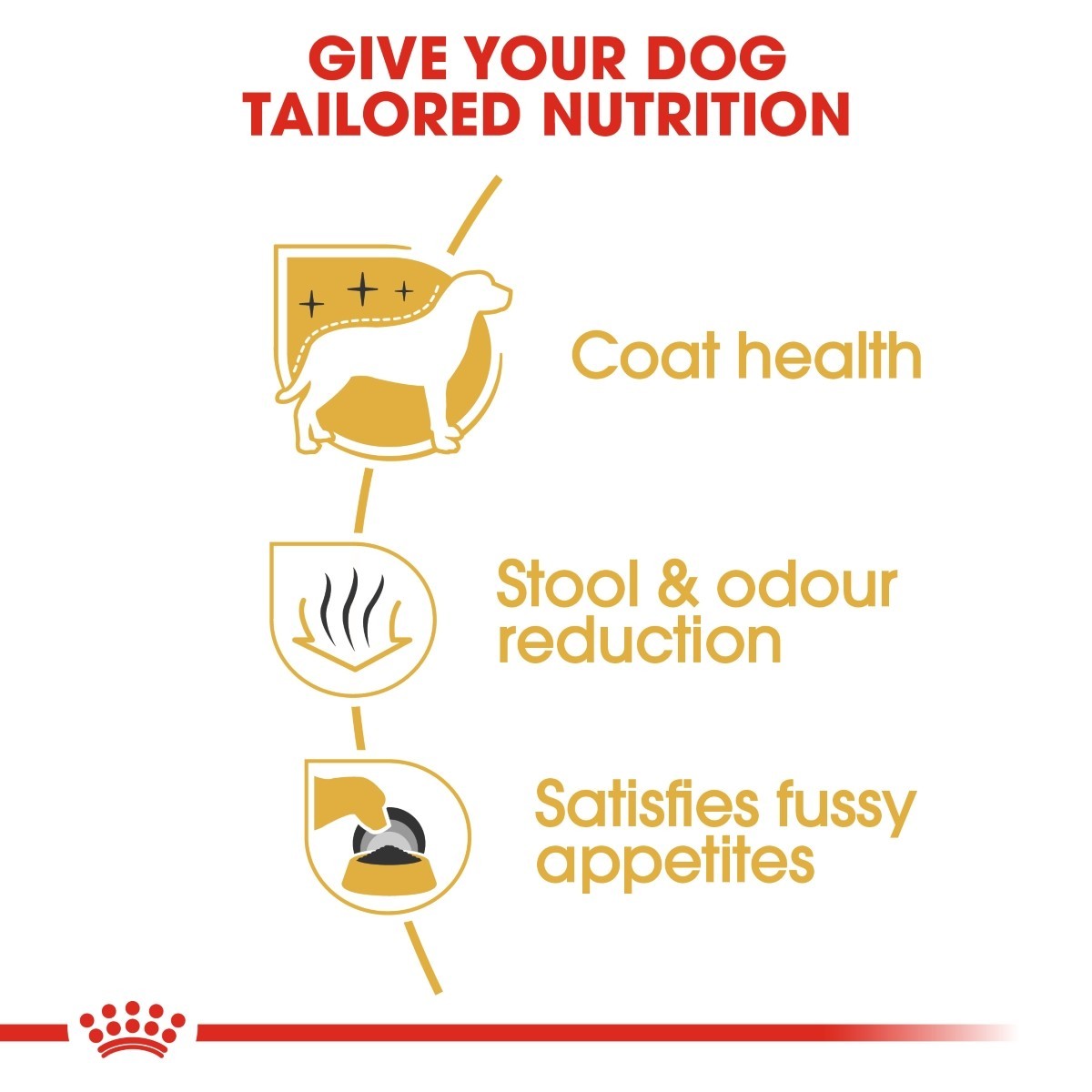 Royal Canin Maltese Dry Adult Dog Food - Targa Pet Shop