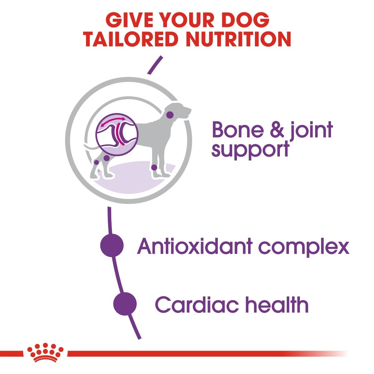 Royal Canin Giant Adult Dry Dog Food - Targa Pet Shop