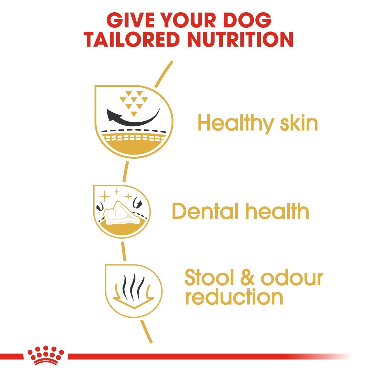 Royal Canin Shih Tzu Dry Adult Dog Food - Targa Pet Shop
