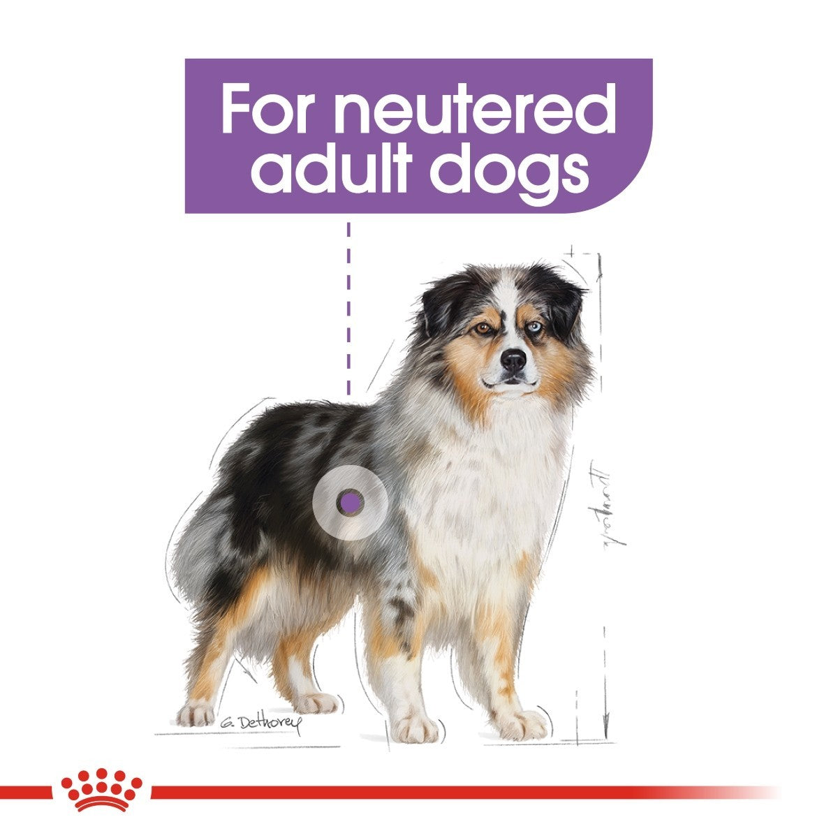 Royal Canin Medium Sterilised Care Dry Dog Food - Targa Pet Shop