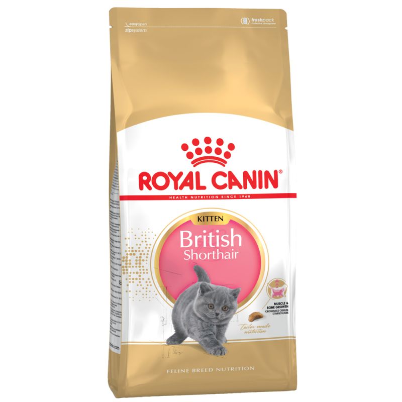 Royal Canin British Shorthair Kitten Cat Food - Targa Pet Shop