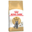 Royal Canin British Shorthair Adult Cat Food - Targa Pet Shop