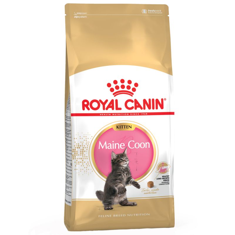 Royal Canin Maine Coon Kitten Food - Targa Pet Shop