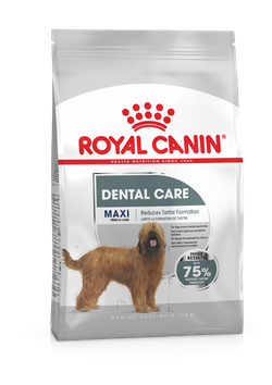 Royal Canin Maxi Dental Care Dry Dog Food - Targa Pet Shop