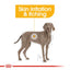 Royal Canin Maxi Dermacomfort Adult Dry Dog Food - Targa Pet Shop