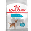 Royal Canin Mini Urinary Care Dry Dog Food - Targa Pet Shop
