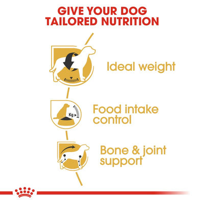Royal Canin Beagle Dry Adult Dog Food - Targa Pet Shop