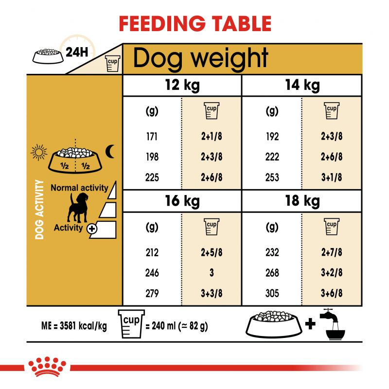 Royal Canin Beagle Dry Adult Dog Food - Targa Pet Shop
