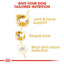 Royal Canin Dachshund Dry Adult Dog Food - Targa Pet Shop