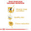 Royal Canin French Bulldog Dry Adult Dog Food - Targa Pet Shop