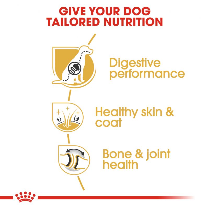 Royal Canin German Shepherd Dry Adult Dog Food - Targa Pet Shop