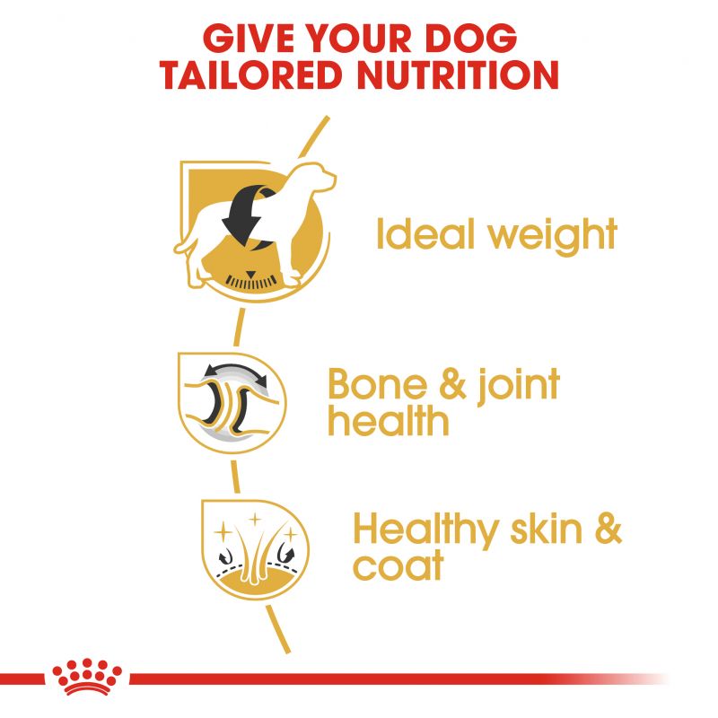 Royal Canin Labrador Retriever Dry Adult Dog Food - Targa Pet Shop
