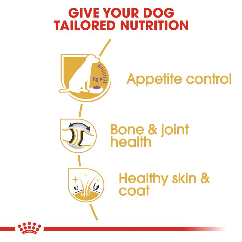 Royal Canin Sterilised Labrador Retriever Adult Dry Food - Targa Pet Shop
