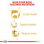 Royal Canin Poodle Dry Adult Dog Food - Targa Pet Shop