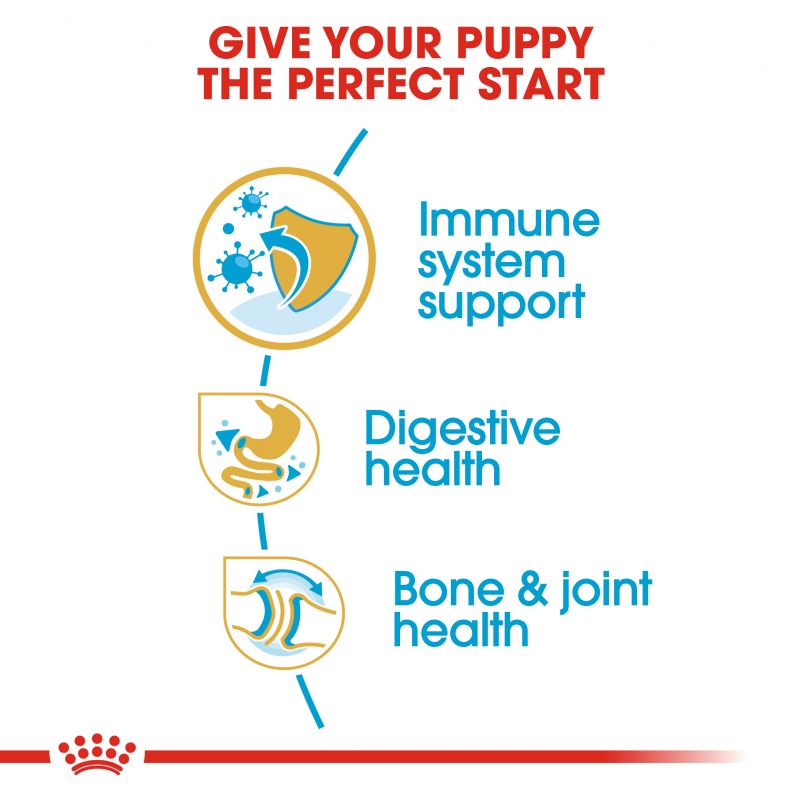 Royal Canin Bulldog Dry Puppy Food - Targa Pet Shop