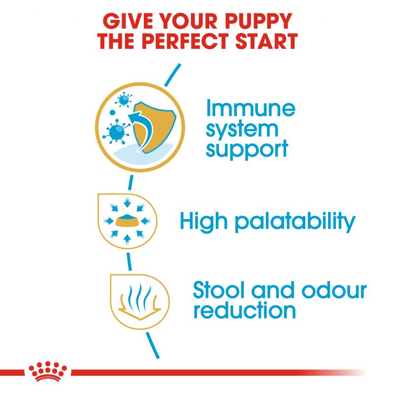 Royal Canin Chihuahua Puppy Dry Food - Targa Pet Shop