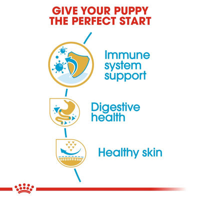 Royal Canin French Bulldog Dry Puppy Food - Targa Pet Shop
