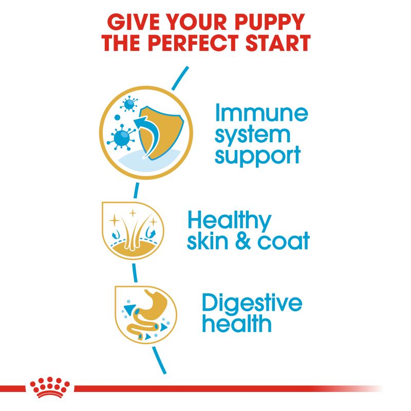 Royal Canin Shih Tzu Dry Puppy Food - Targa Pet Shop