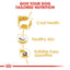 Royal Canin West Highland White Terrier Dry Adult Dog Food - Targa Pet Shop