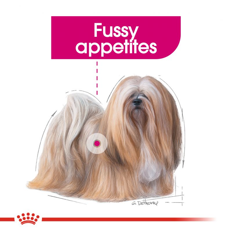 Royal Canin Mini Exigent - Targa Pet Shop