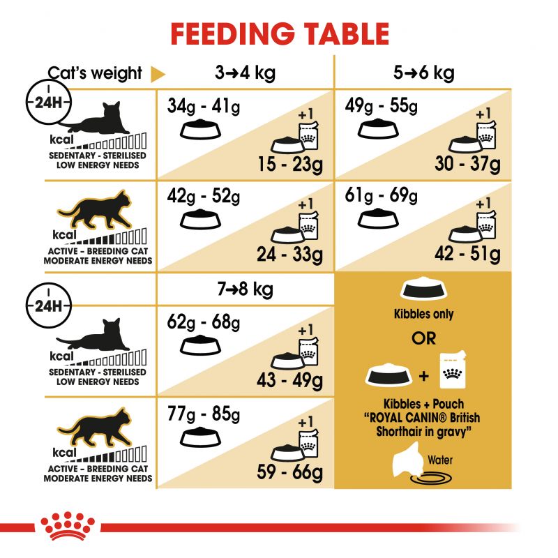 Royal Canin British Shorthair Adult Cat Food - Targa Pet Shop