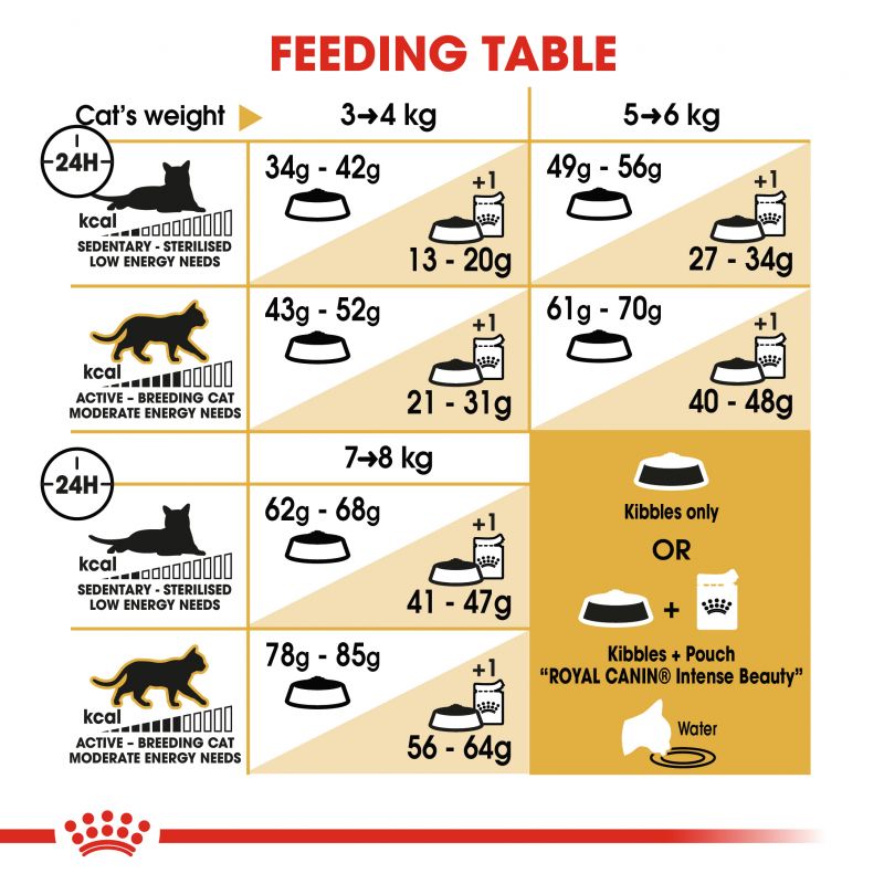 Royal Canin Ragdoll Adult Cat Food - Targa Pet Shop