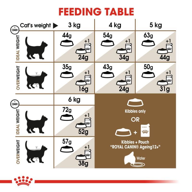 Royal Canin Ageing 12+ Sterilised Adult Cat Food - Targa Pet Shop