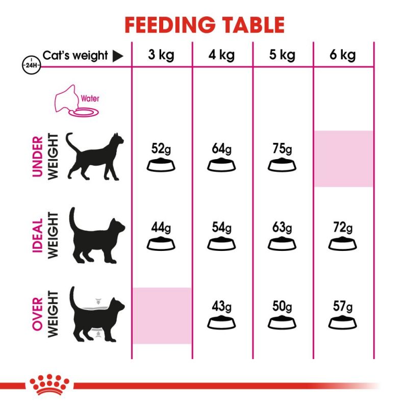 Royal Canin Feline Preference Aroma Exigent Adult Cat Food - Targa Pet Shop