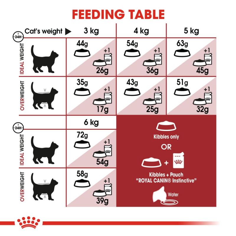 Royal Canin Regular Fit 32 Adult Cat Food - Targa Pet Shop