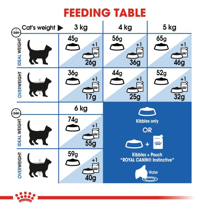 Royal Canin Home Life Indoor 27 Adult Cat Food - Targa Pet Shop