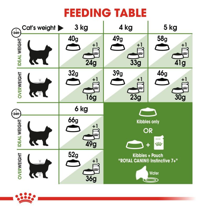 Royal Canin Active Life Outdoor 7+ Senior Cat Food - Targa Pet Shop